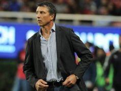 Robert Dante Siboldi será el nuevo técnico de Necaxa Robert Dante Siboldi será el nuevo técnico de Necaxa