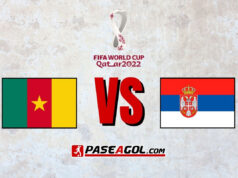 Camerún vs Serbia en vivo Mundial Qatar 2022