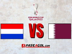 Países Bajos vs Catar en vivo Mundial Qatar 2022