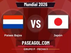 Países Bajos vs Japón en vivo Mundial 2026, donde ver Países Bajos vs Japón - Grupo F - Fecha 1 - Mundial 2026