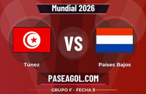Túnez vs Países Bajos en vivo Mundial 2026, donde ver Túnez vs Países Bajos - Grupo F - Fecha 3 - Mundial 2026