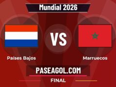 Países Bajos vs Marruecos en vivo Mundial 2026, donde ver Países Bajos vs Marruecos - Final - Mundial 2026