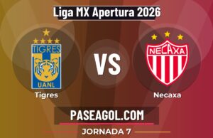 Tigres vs Necaxa en vivo Liga MX Apertura 2026, donde ver Tigres vs Necaxa - Jornada 7 - Liga MX Apertura 2026